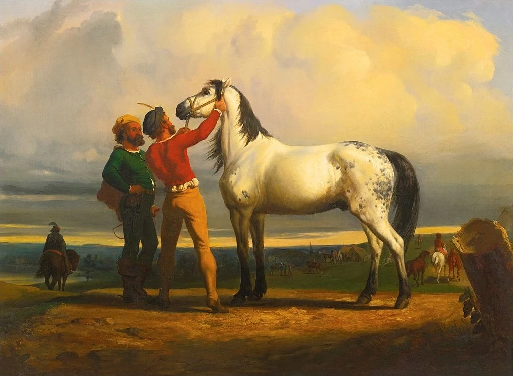 Il cavallo grigio